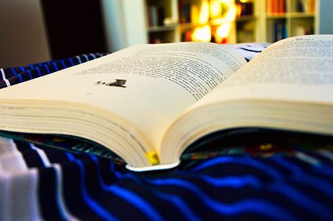 bed, book, paper, reading, knowledge, page, publication, close-up HD wallpaper