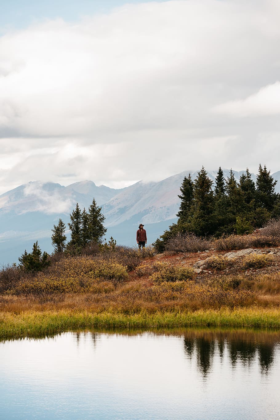 nature, landscape, clouds, mountain, trees, leaf, tranquility HD wallpaper