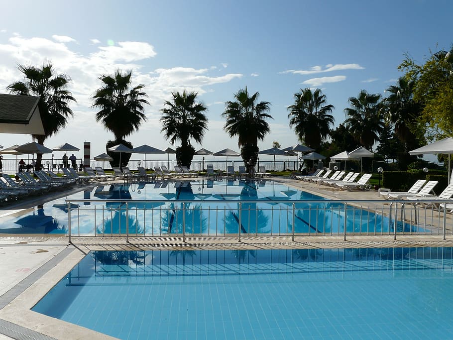 pool near plants, schwimmungpool, water basin, hotel, hotel complex, HD wallpaper
