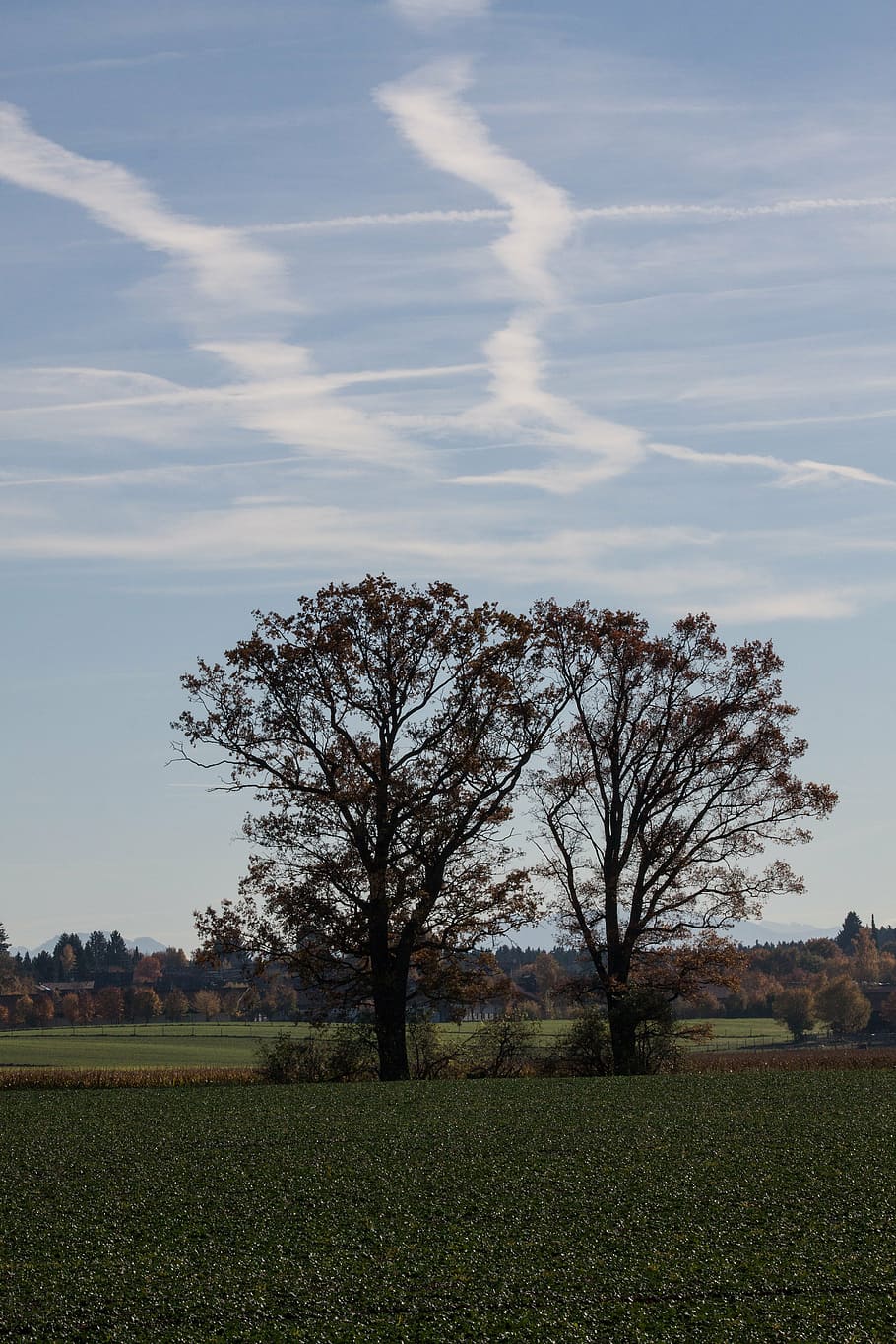 trees, arable, field, cultivation, hair dryer, contrail, landscape HD wallpaper