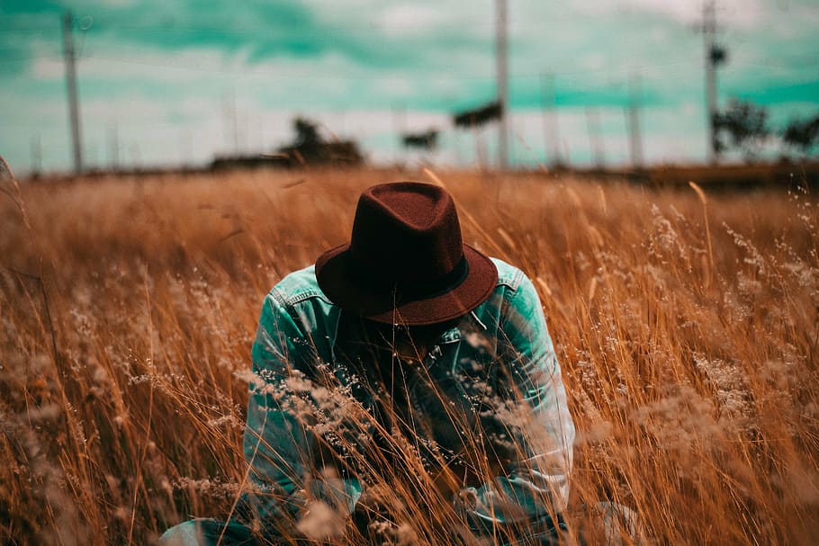 person sitting on wheat field, brown, hat, teal, sports, shirt HD wallpaper
