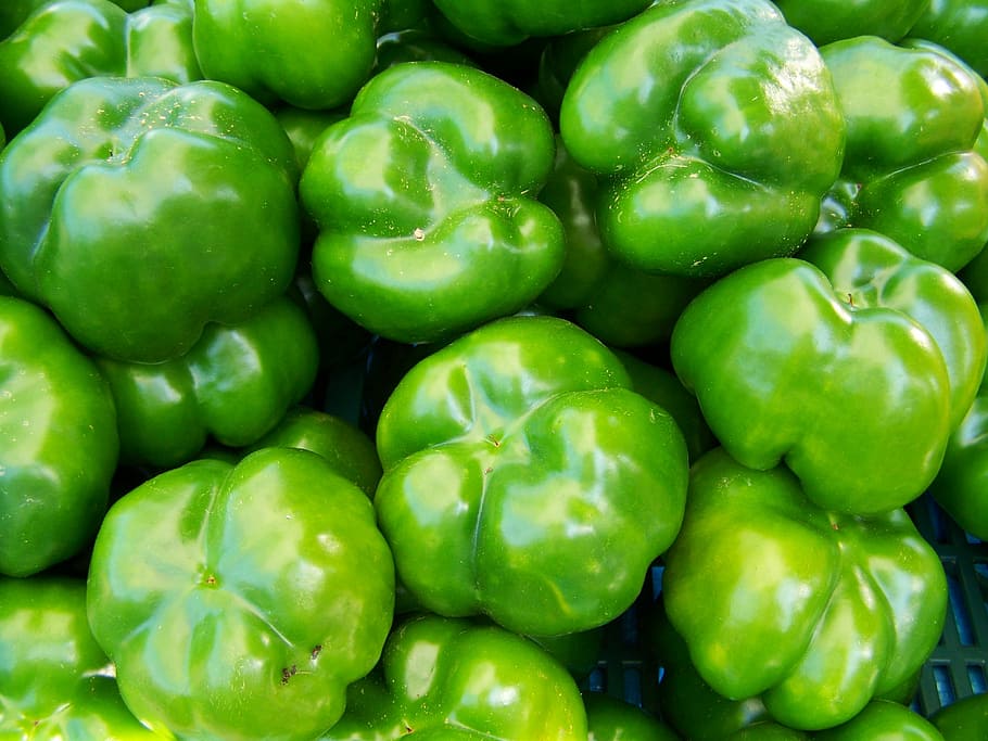 pepper, green, vegetables, food, freshness, organic, green Color HD wallpaper
