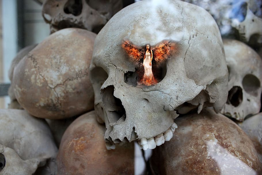 angel, eye, skull, fire, wing, girl, expression, emotion, bones HD wallpaper
