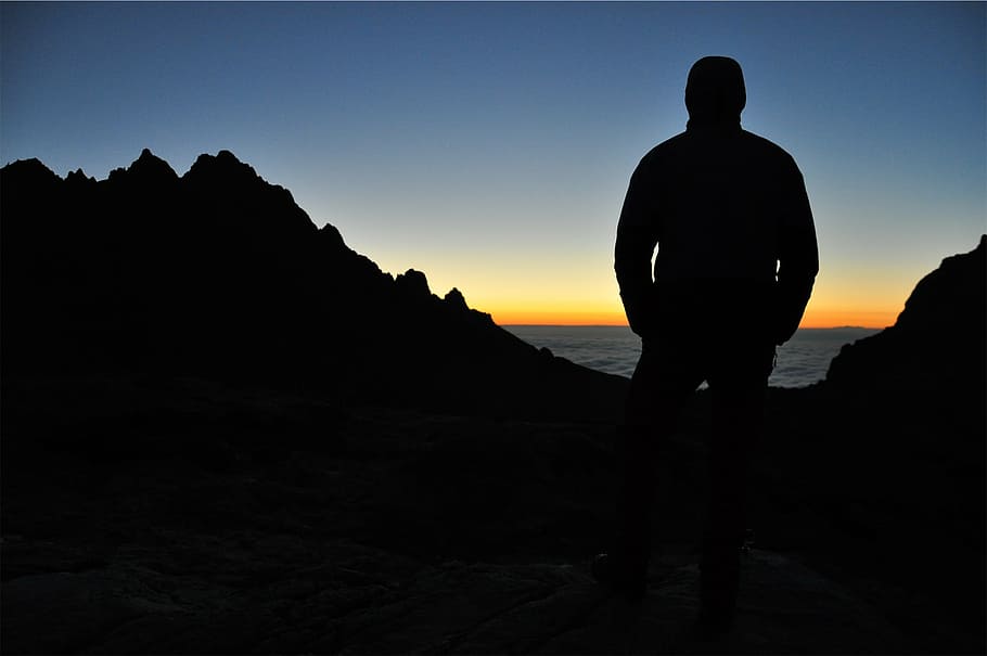 silhouette of person during golden hour, man, standing, near HD wallpaper