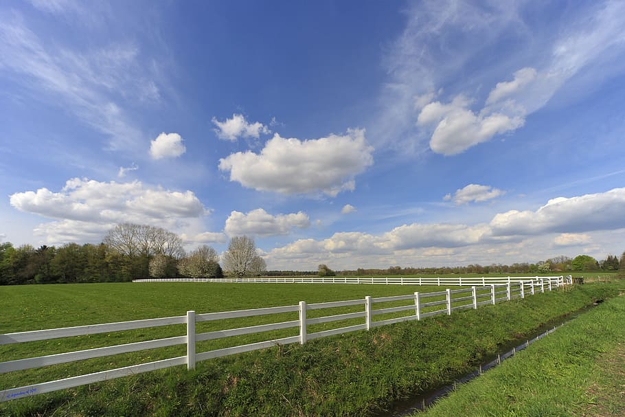 clouds, pasture, landscape, heaven, nature, blue sky, cloud - sky HD wallpaper