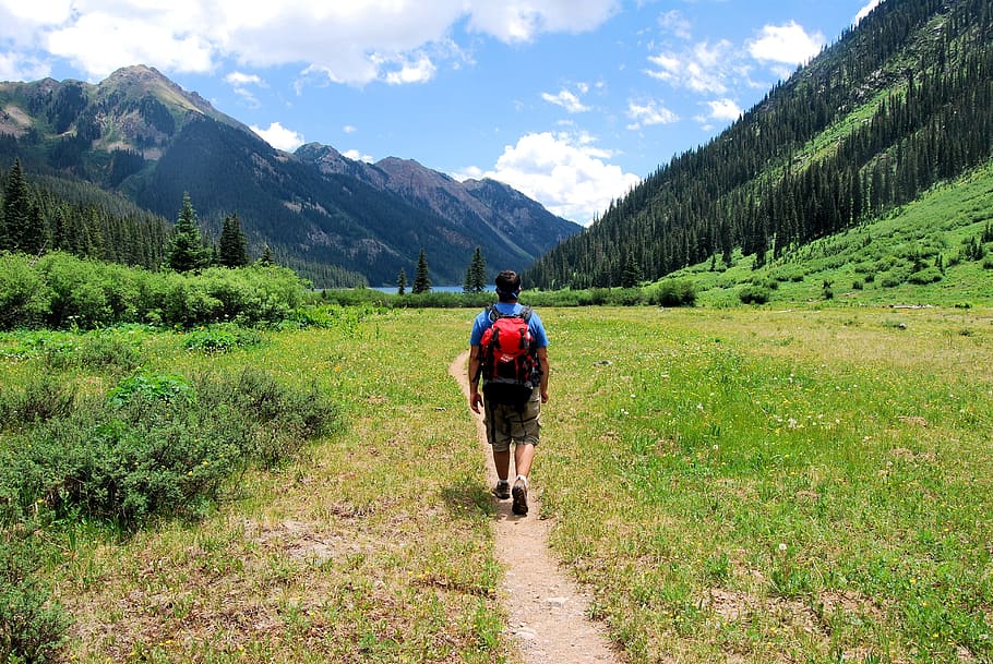 man walking on field between grass during daytime, backpacking HD wallpaper