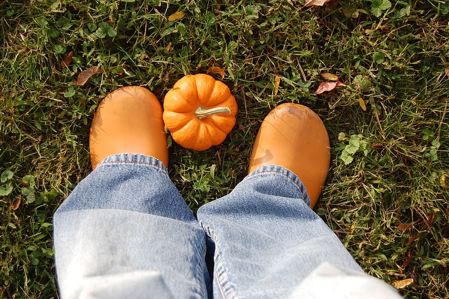 fall, autumn, pumpkin, garden clogs, grass, ground, jeans, gardening HD wallpaper