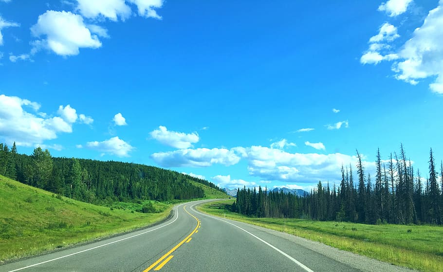 alberta, road, canada, nature, landscape, park, travel, mountain HD wallpaper