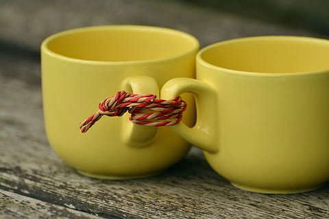 two yellow mugs on wooden surface, for two, together, partnership HD wallpaper