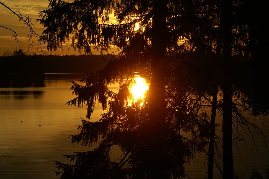 Evening, Sunset, Twilight, Beach, Water, beach cottage, finnish HD wallpaper