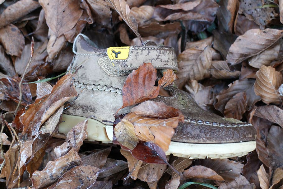 children's shoe, individually, nature, forest, clothing, foot