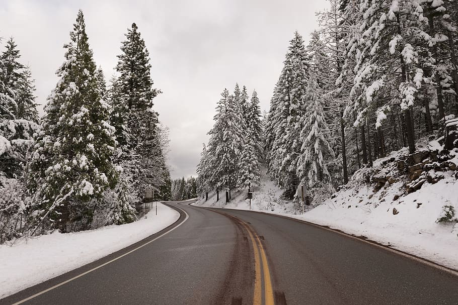 wide angle photo of road during winter season, snow, trees HD wallpaper