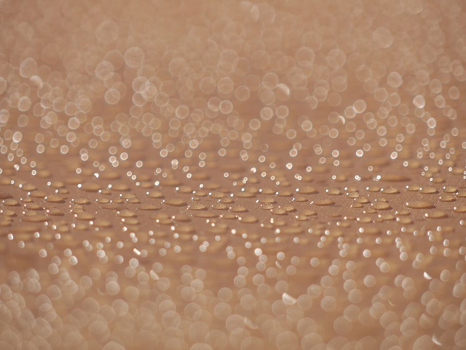 condensation, droplets, water, circle, dew, drops, dewdrop HD wallpaper