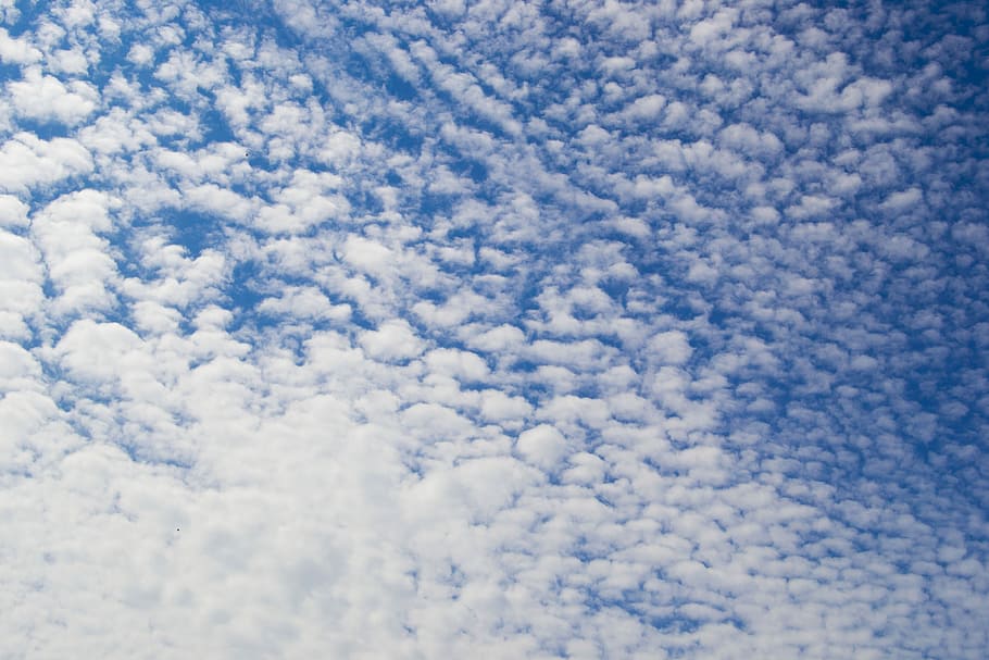 Fluffy, Sky, Blue, White, Summer, backgrounds, nature, no people HD wallpaper