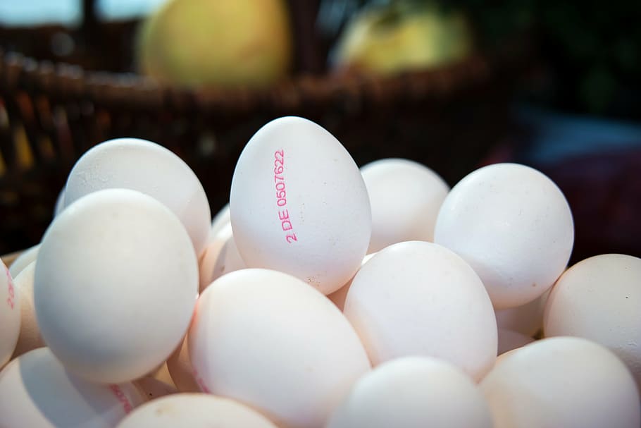 bundle of egg, thanksgiving, chicken eggs, autumn, fertility, HD wallpaper