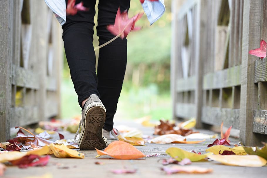 man walking along wooden bridge with falling wilted leaves HD wallpaper