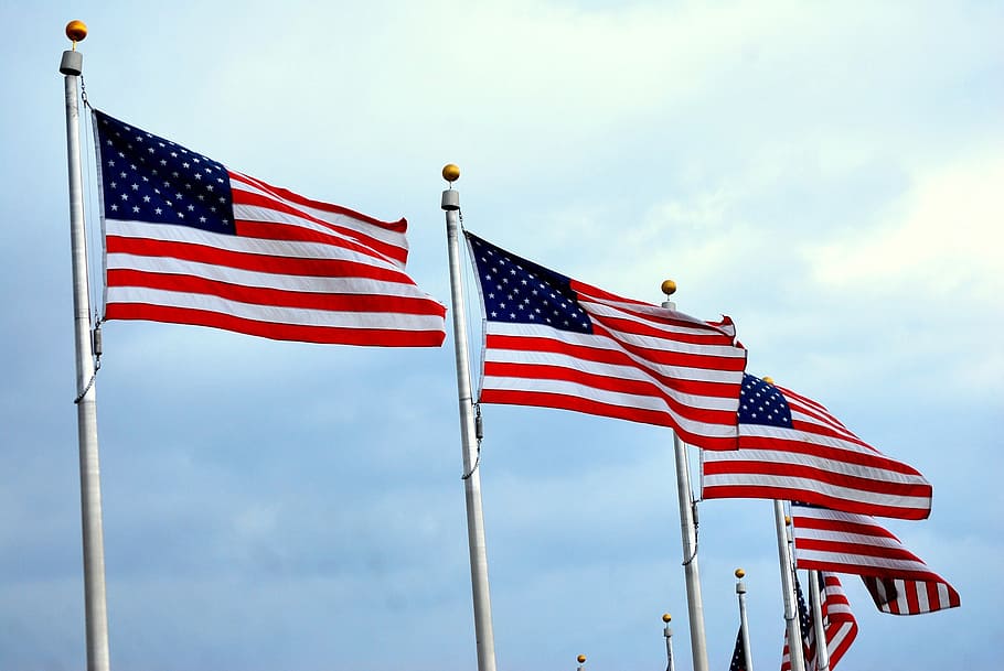 U.S. flag lot, flags, american, united, states, flying, blowing HD wallpaper