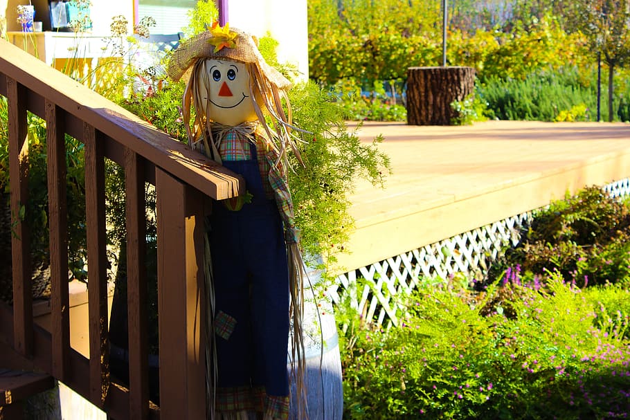 Scarecrow, Yard, Decor, Beautiful, happy, autumn, outside, tree HD wallpaper