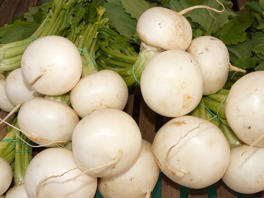 turnip, nevett, vegetable plant, speiserübe, vitamins, healthy, HD wallpaper