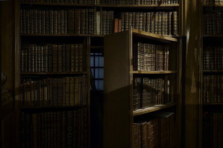 opened secret door inside library, bookshelf with opened secret door, HD wallpaper