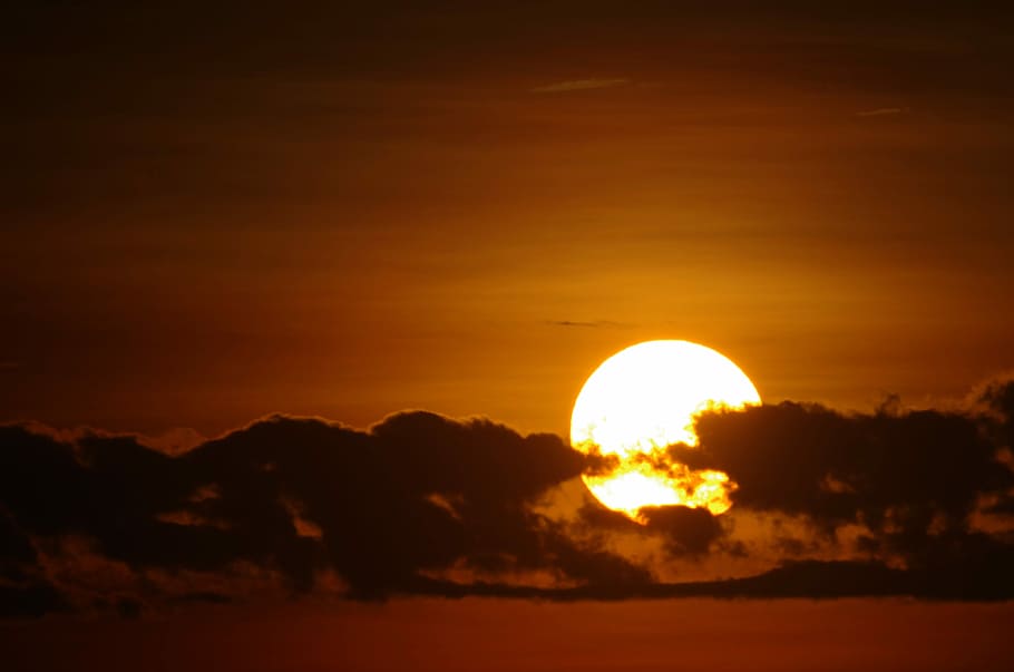 sunset, duck, sky, scenics - nature, cloud - sky, orange color HD wallpaper