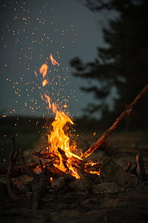 shallow focus photography of bonfire, flame, lights, campfire HD wallpaper