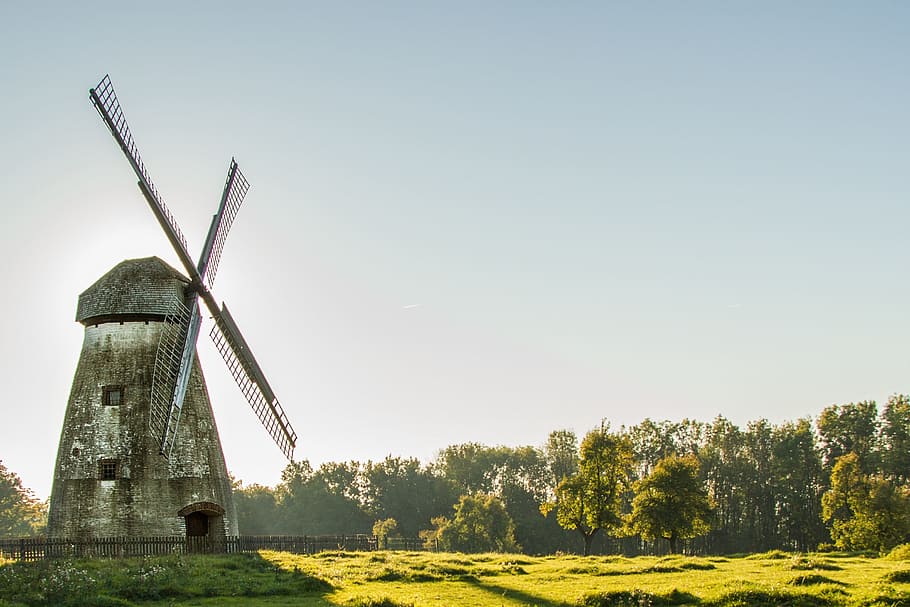 Mill, Meadow, Sky, summer, alternative energy, wind power, wind turbine HD wallpaper
