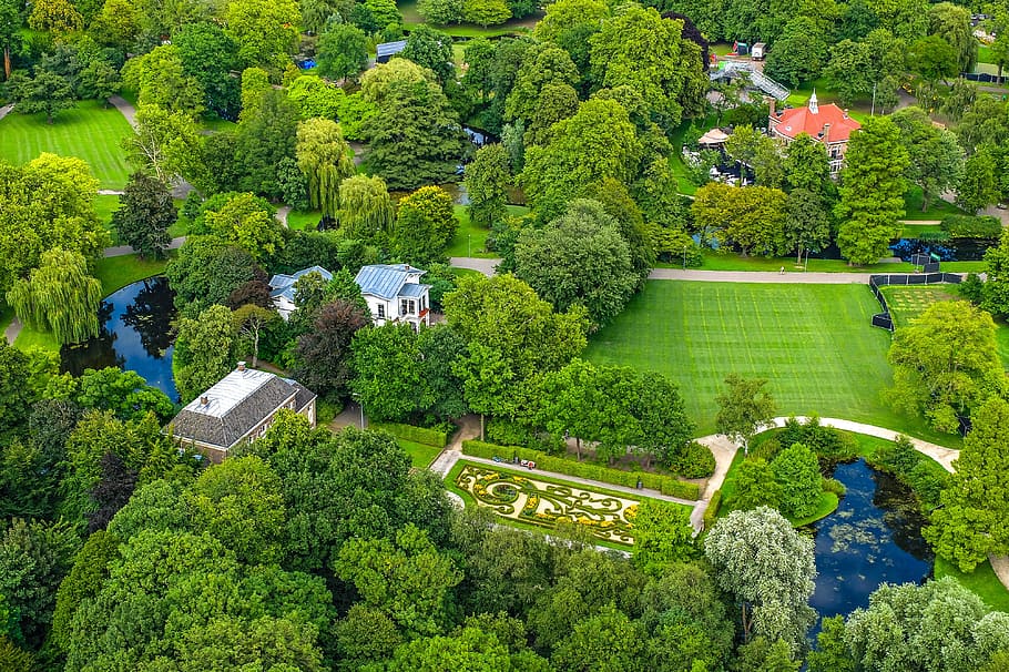 park, garden, city, tree, grass, cityscape, aerial view, rotterdam