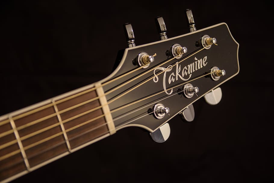 Brown and Black Takamine Guitar Headstock, acoustic guitar, blur