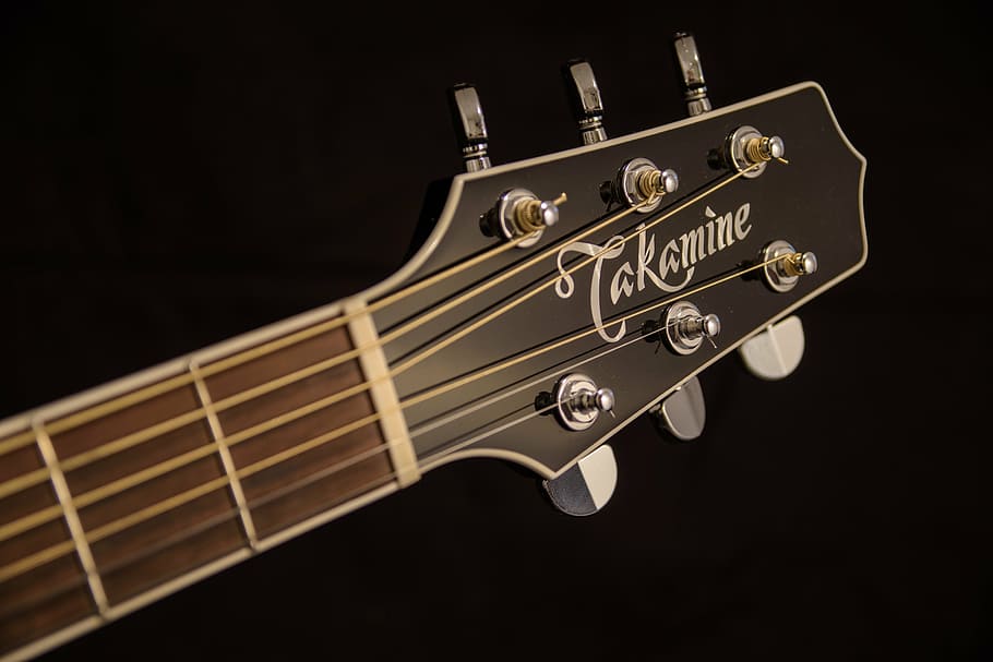 brown and black Takamine guitar headstock, musical instrument