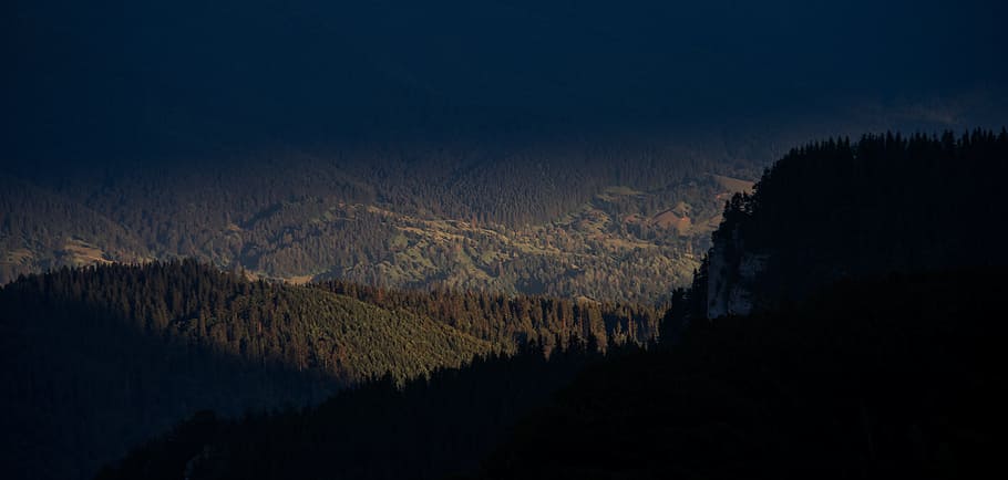 blue, dark, mountain, valley, trees, plants, nature, forest HD wallpaper