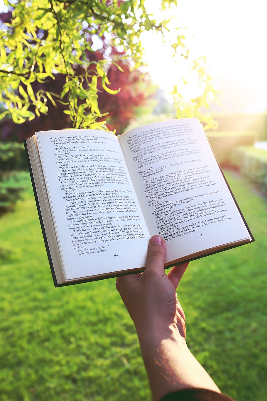 person holding book, hand, reading, sunset, garden, publication HD wallpaper