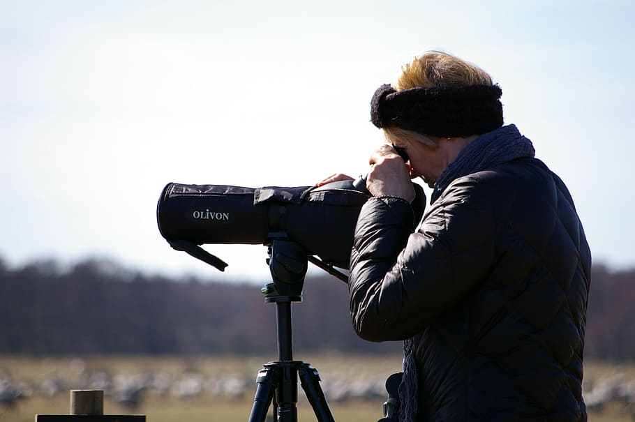 Binoculars, Bird Watchers, focused, woman, leisure, nature