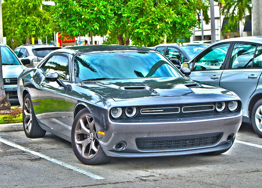 dodge challenger, hdr, car, motor vehicle, mode of transportation HD wallpaper