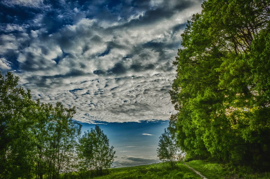 valley bolechowicka, nature, landscape, clouds, plant, tree HD wallpaper