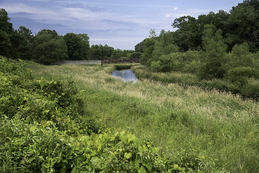 Grassfield landscape and bridge at Camrock County Park, landscapes, HD wallpaper