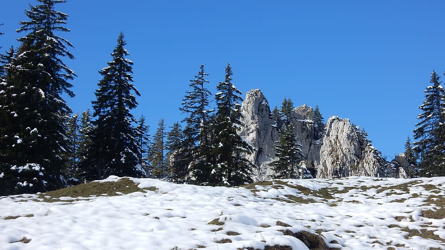 rock, landscape, sky, blue, tree, winter, snow, cold temperature HD wallpaper