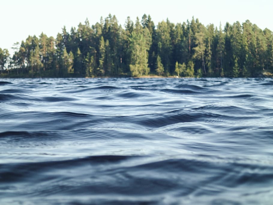 Choppy lake surface, body of water surrounded by green leaf trees HD wallpaper