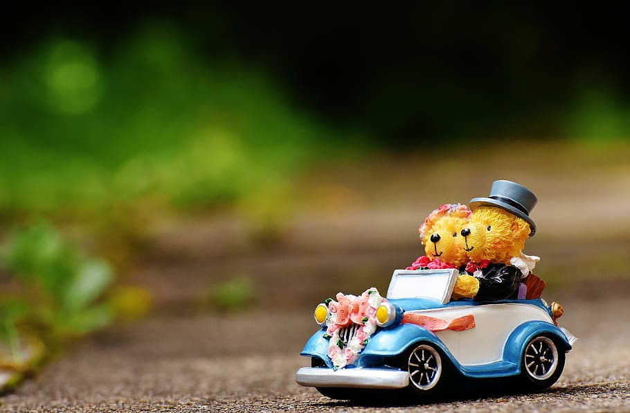 two bears riding vehicle figurine, wedding, figures, funny, invitation, HD wallpaper
