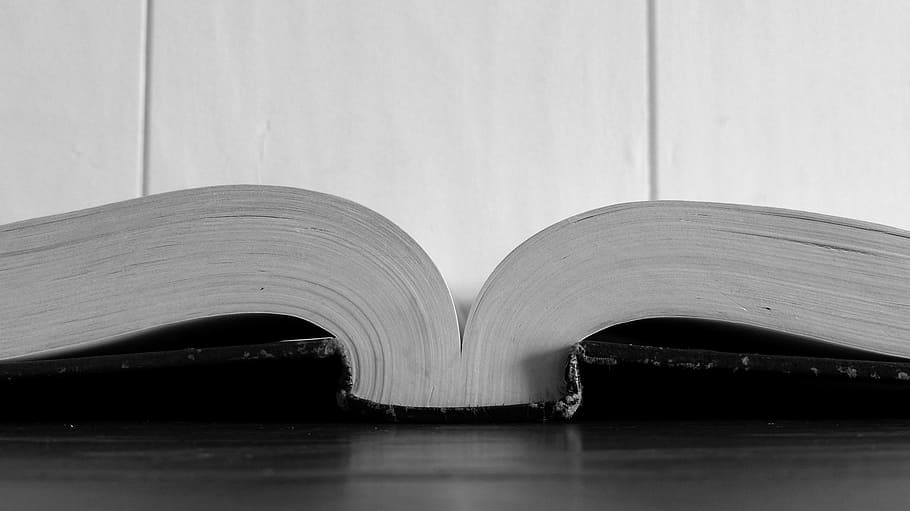 book, study, bible, bible study, studying, work, learning, modern HD wallpaper