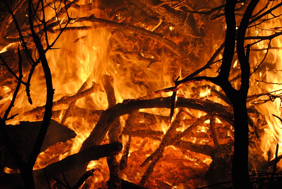 fire, glowing, flame, wood fire, brand, embers, hot, burning HD wallpaper