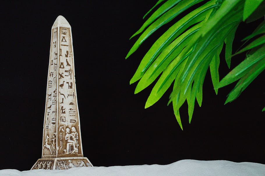 Obelisk, Palm, Egypt, Close, Sand, background, nobody, no people HD wallpaper