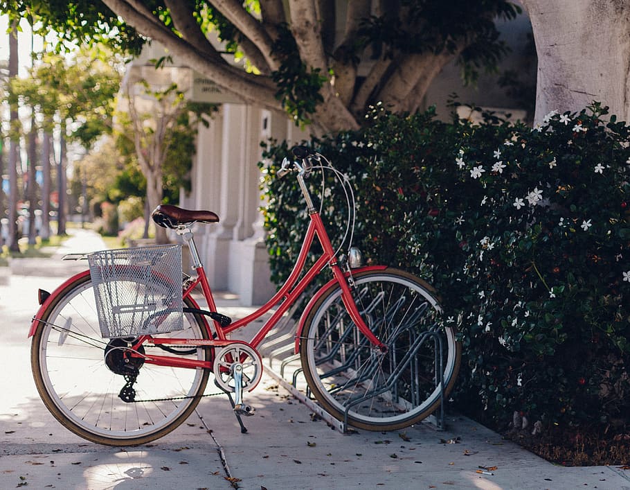 bike parked near plant, green, plants, trees, flowers, alley HD wallpaper