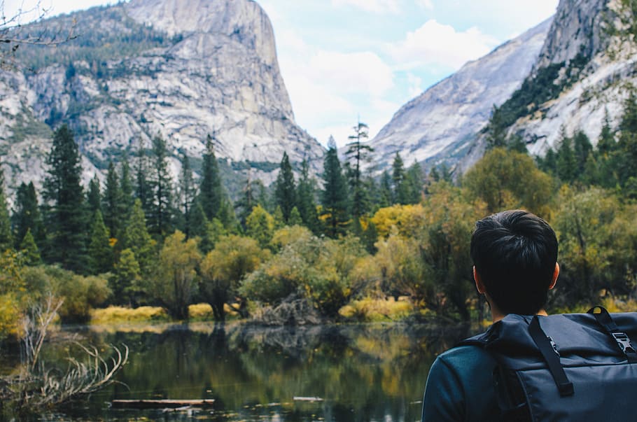 man facing green forest, man looking at rocky mountain covered in pine trees HD wallpaper