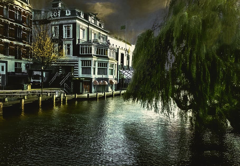 Amsterdam, River, Tree, Building, Dutch, european, holland HD wallpaper