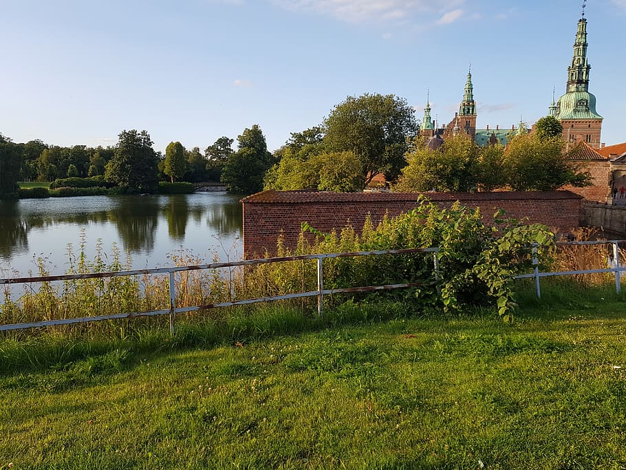 lake, grass, bridge, plant, tree, built structure, water, sky HD wallpaper