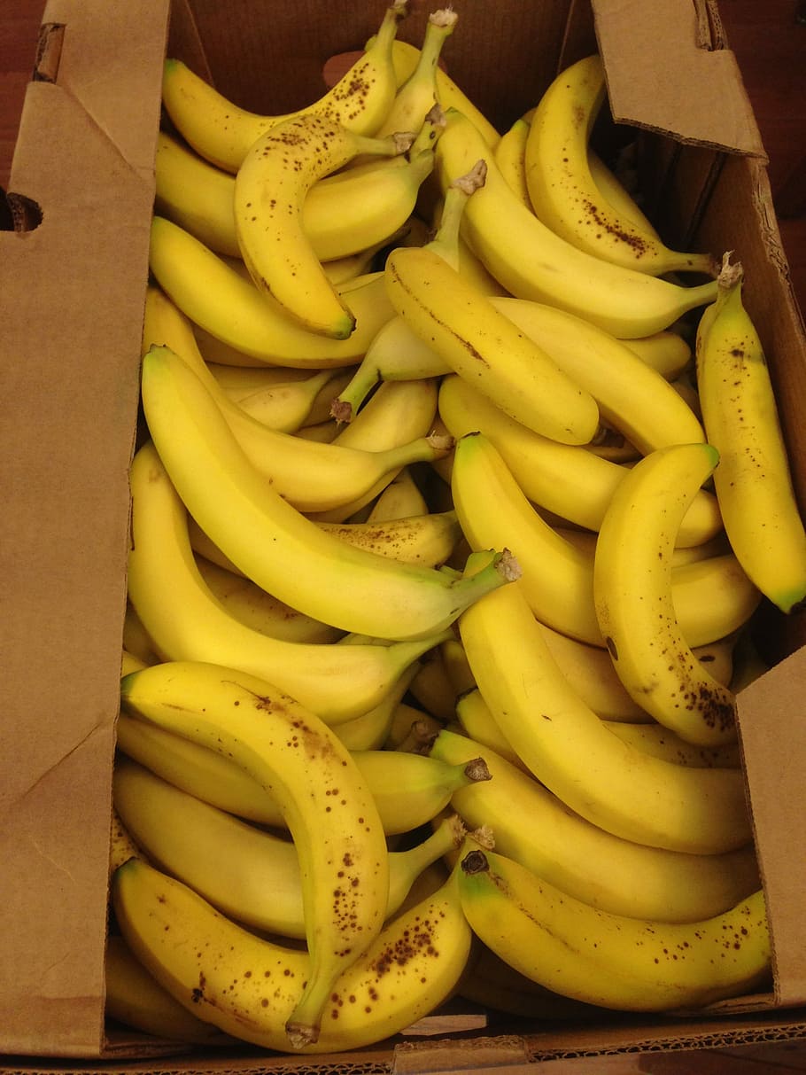 Bananas, Fruit, Plantain, yellow, bunch, food and drink, healthy eating HD wallpaper