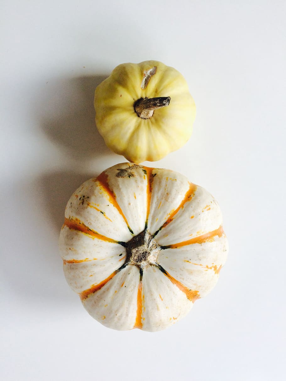 pumpkins, fall, art, food and drink, studio shot, healthy eating HD wallpaper