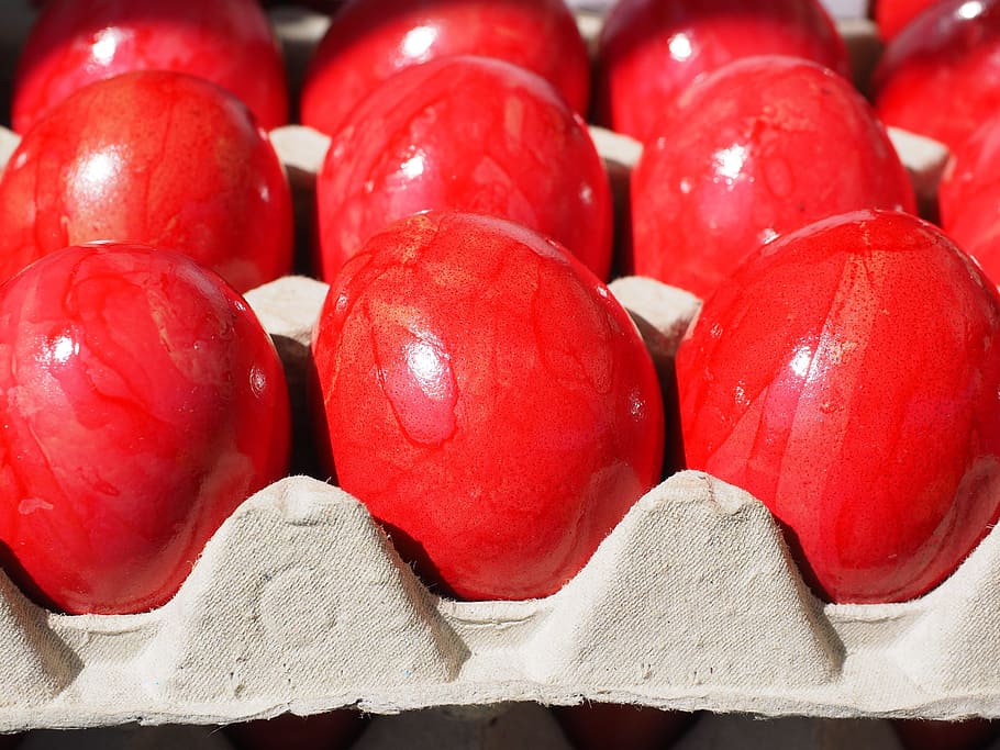 easter eggs, red, egg box, hartgekocht, hard, colored, colorful HD wallpaper