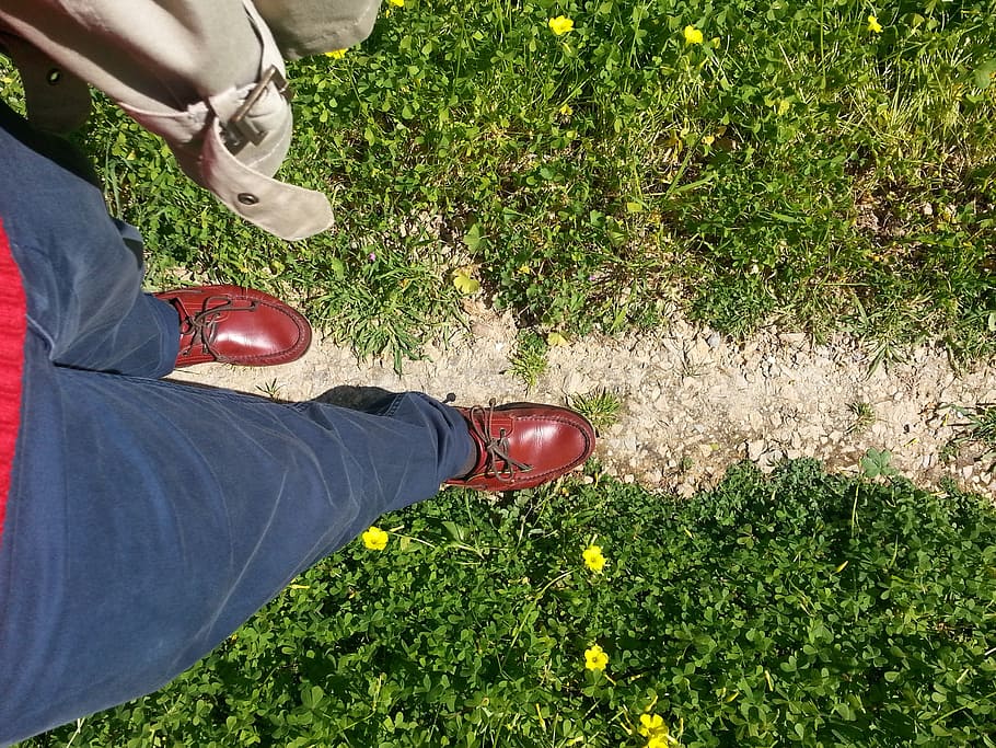 walking, feet, grass, path, foot, legs, nature, lifestyle, shoes HD wallpaper
